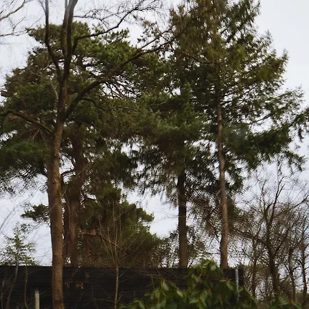 Vague Luxurious Tiny House Luxe Wellness, Spa Bad,beamer, Veluwe