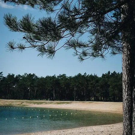 Vague Luxurious Tiny House Luxe Wellness, Spa Bad,beamer, Veluwe