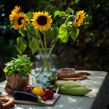 Vague Luxurious Tiny House Luxe Wellness, Spa Bad,beamer, Veluwe Vakantiehuis Nunspeet