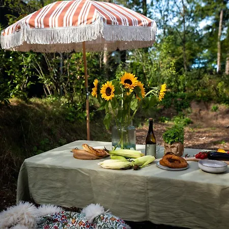 Vague Luxurious Tiny House Luxe Wellness, Spa Bad,beamer, Veluwe בית נופש *